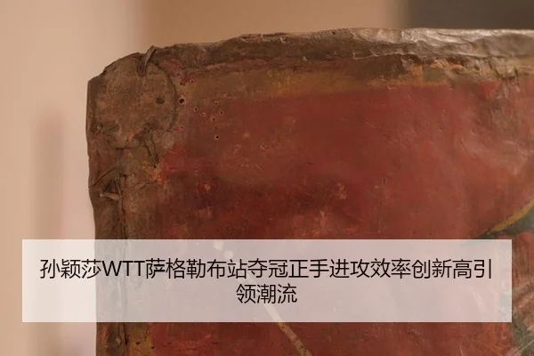 sun-ying-sha-sa-ge-lei-bu-zhan-duo-guan-zheng-shou-jin-gong-xiao-lv-chuang-xin-gao-yin-ling-chao-liu-2-534.jpg